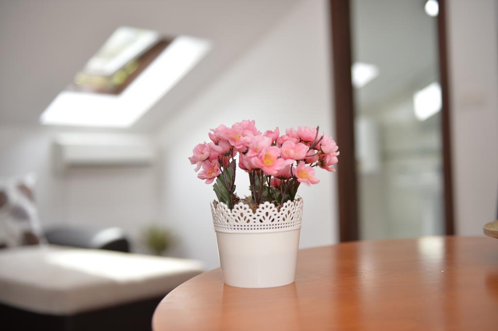 Apartment Atina كوتور المظهر الخارجي الصورة